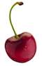 Cherry DB